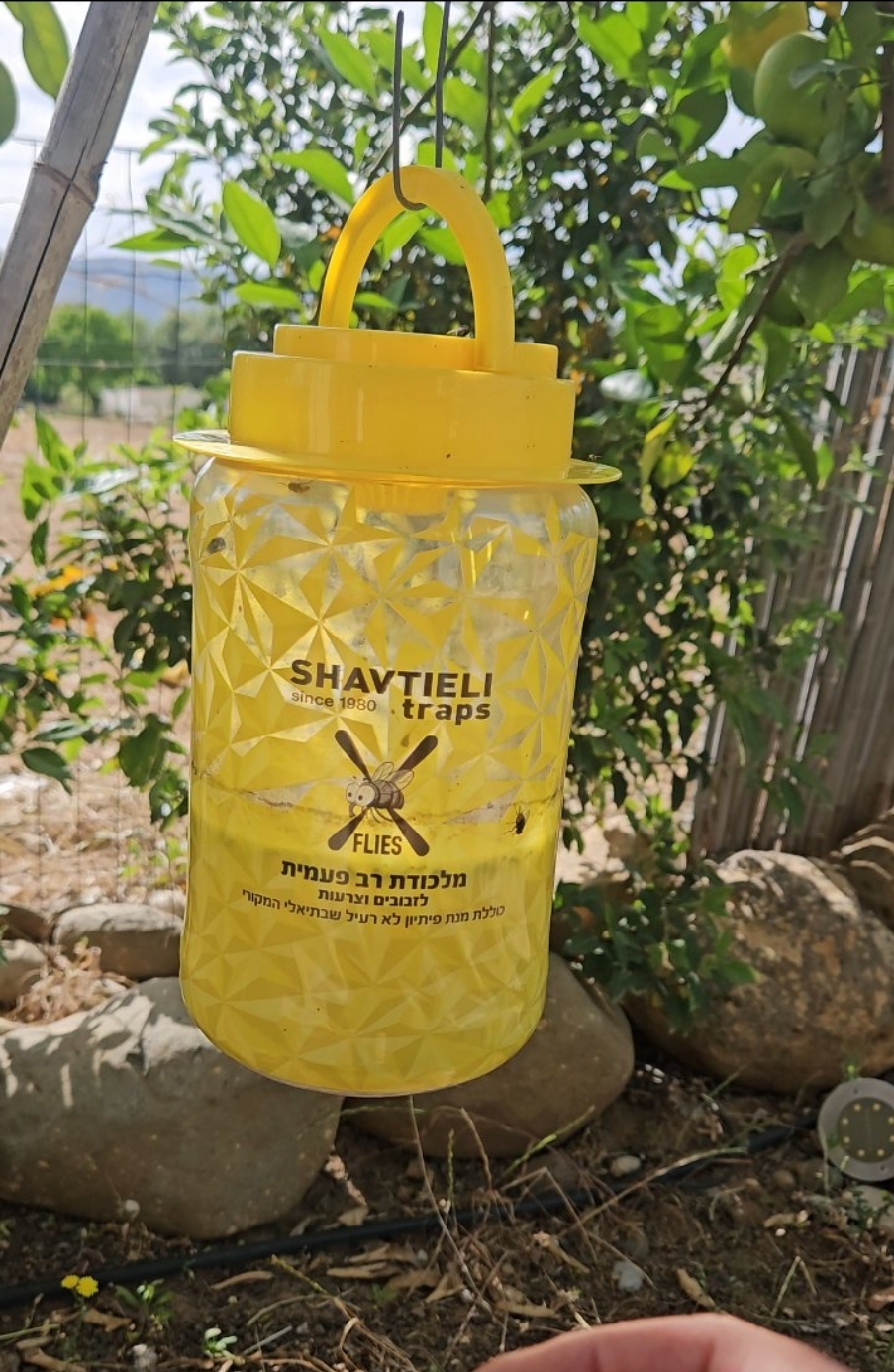 מלכודת זבובים צרעות שבתיאלי X-FLIES רב פעמית קטנה חצר עץ פרי